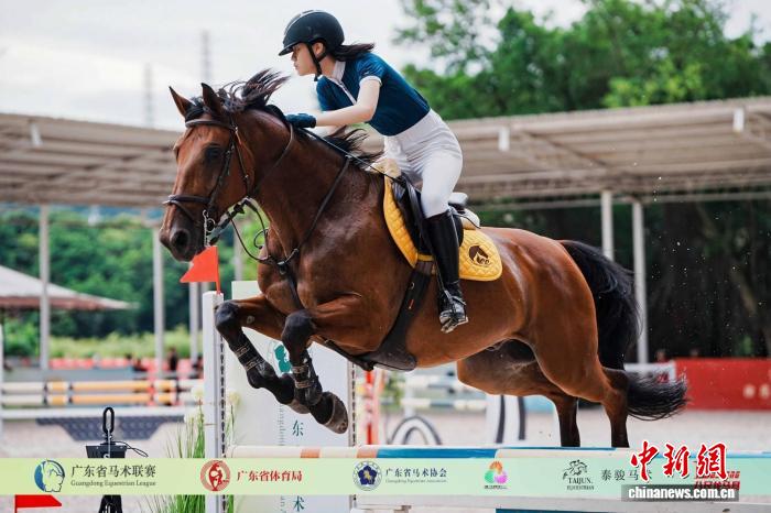 广东省马术节总决赛即将开赛 赛事项目与文旅融